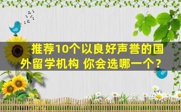 推荐10个以良好声誉的国外留学机构 你会选哪一个？